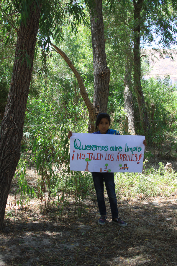 Queremos aire limpio: NO TALEN LOS ÁRBOLES